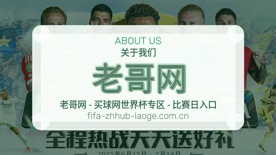 老哥网便捷访问服务说明